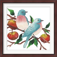 Framed Birds and Apples