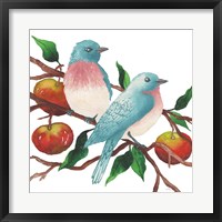 Framed Birds and Apples