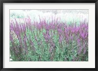 Framed Lavender Garden