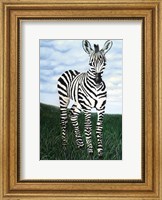 Framed At Attention Zebra