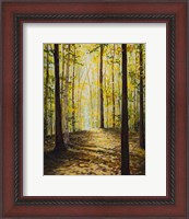 Framed Autumn Forest