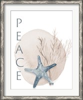 Framed Peace Starfish