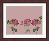 Framed Trio Of Peonies