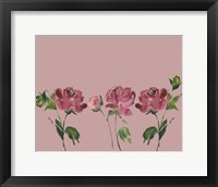 Framed Trio Of Peonies