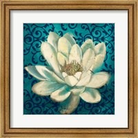 Framed Water Lilly on Teal