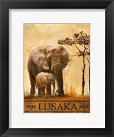 Framed Lusaka