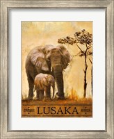 Framed Lusaka