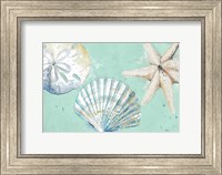 Framed Beach Shells on Turquoise Rectangle