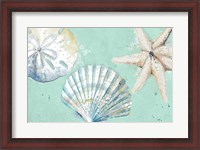 Framed Beach Shells on Turquoise Rectangle