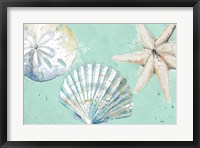 Framed Beach Shells on Turquoise Rectangle