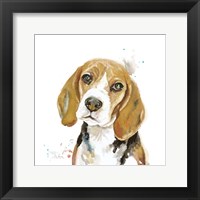 Framed Watercolor Beagle