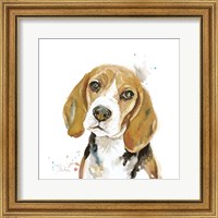 Framed Watercolor Beagle