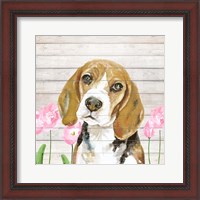 Framed Beagle With Flowers