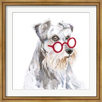 Framed Schnauzer With Glasses