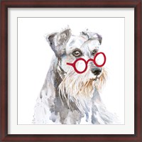 Framed Schnauzer With Glasses
