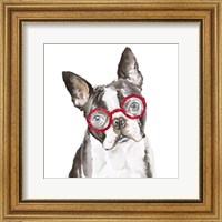 Framed French Bulldog with Glasses