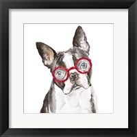 Framed French Bulldog with Glasses