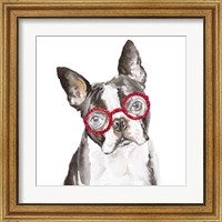 Framed 'French Bulldog with Glasses' border=