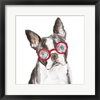 Framed French Bulldog with Glasses