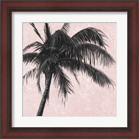 Framed 'Gray Palm on Pink I' border=