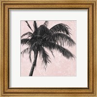 Framed 'Gray Palm on Pink I' border=