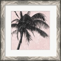 Framed Gray Palm on Pink I