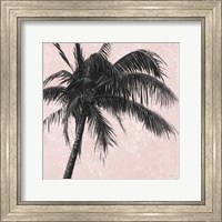 Framed Gray Palm on Pink I