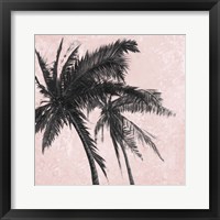 Framed 'Gray Palm on Pink II' border=