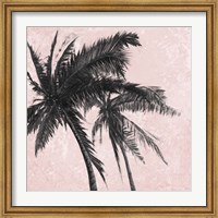 Framed Gray Palm on Pink II