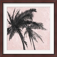 Framed Gray Palm on Pink II