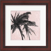 Framed 'Gray Palm on Pink II' border=