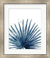 Framed Teal Palm Frond II