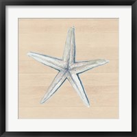 Framed Starfish