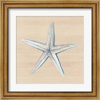 Framed 'Starfish' border=