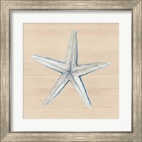Framed 'Starfish' border=