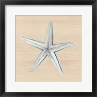 Framed Starfish