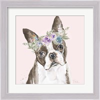 Framed 'Flower Crown Pet III' border=