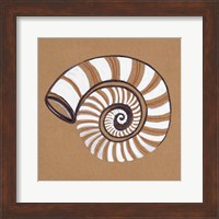 Framed 'Ocean World Shell' border=