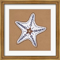 Framed Ocean World Starfish