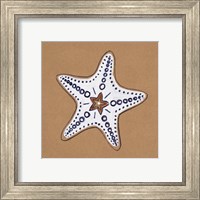 Framed 'Ocean World Starfish' border=