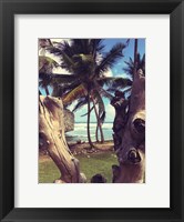 Framed Oceanside Palms