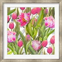 Framed Tulip Symphony I