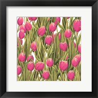 Framed Tulip Symphony II