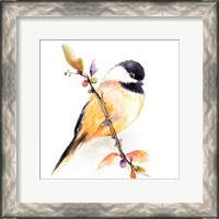 Framed Watercolor Chickadee I