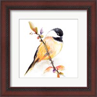 Framed Watercolor Chickadee I