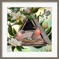Framed Birdhouse II