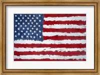 Framed Old Glory