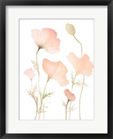 Framed Early Summer Poppies I