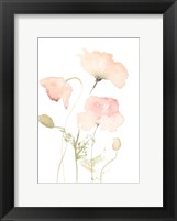 Framed Early Summer Poppies II