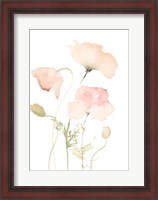 Framed Early Summer Poppies II